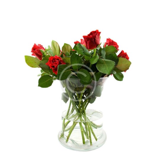 Red Roses Bouquet