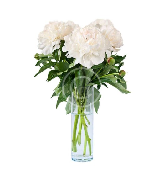 White Peony Bouquet